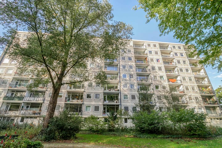 Foto 8 van Amerbos 60