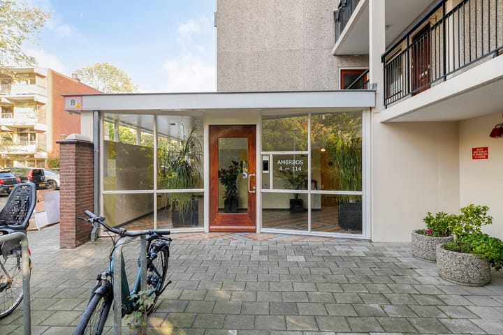 Foto 9 van Amerbos 60