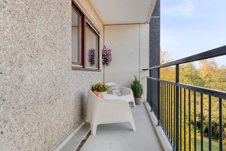 Foto 13 van Amerbos 60