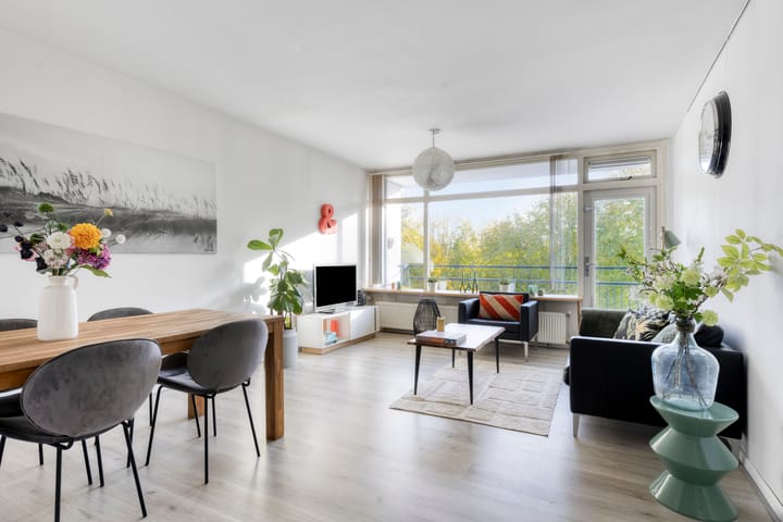 Foto 19 van Amerbos 60