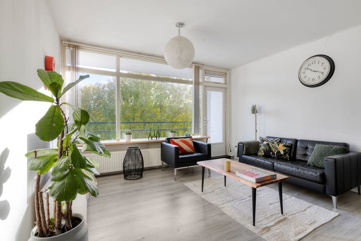 Foto 18 van Amerbos 60