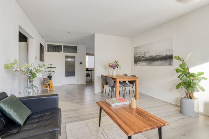 Foto 20 van Amerbos 60