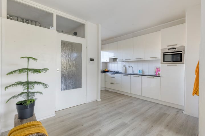 Foto 25 van Amerbos 60