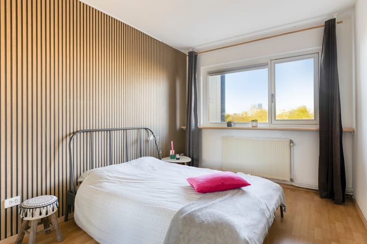 Foto 3 van Amerbos 60