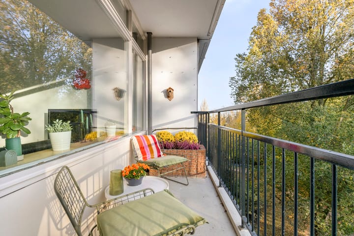 Foto 5 van Amerbos 60