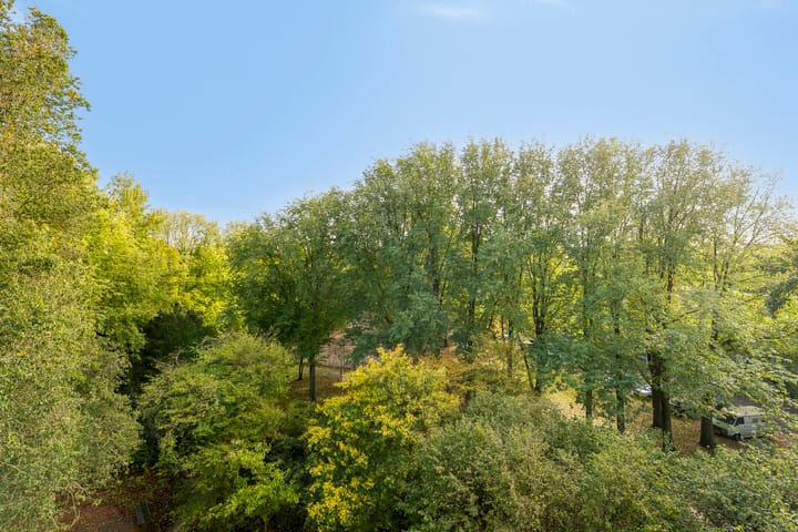 Foto 33 van Amerbos 60