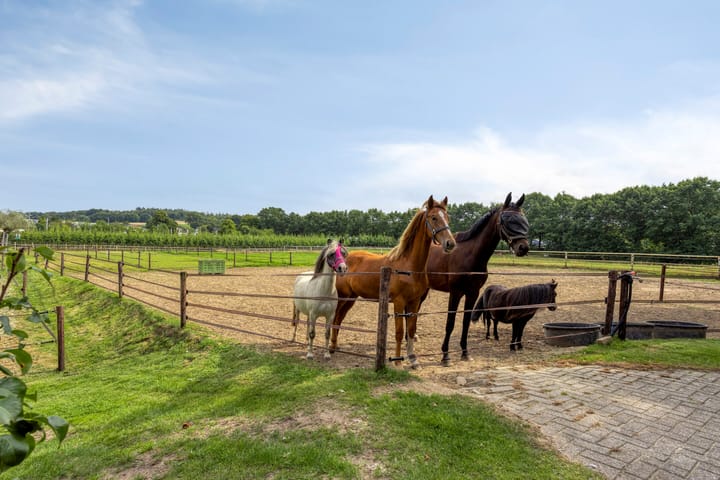 Foto 5 van Bergweg 19-A