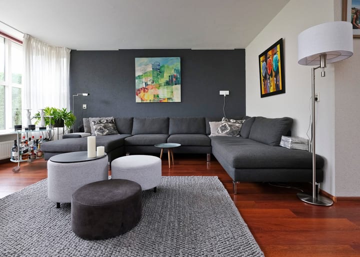 Photo 9 of Klokschildpad 28