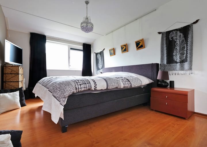 Photo 13 of Klokschildpad 28