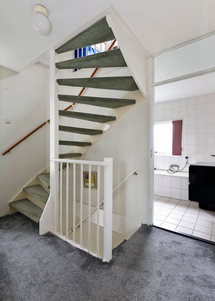 Photo 19 of Klokschildpad 28