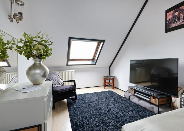 Photo 20 of Klokschildpad 28