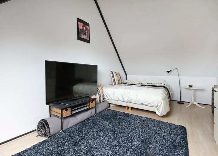 Photo 21 of Klokschildpad 28