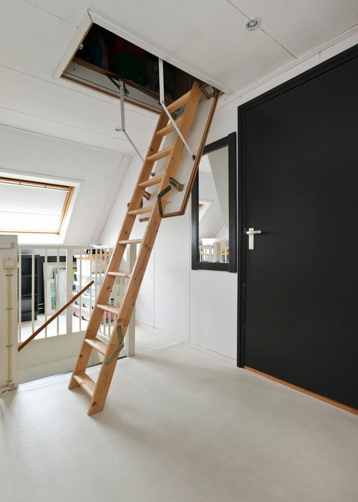 Photo 23 of Klokschildpad 28