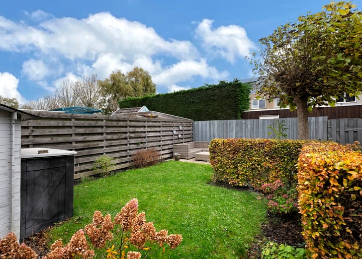 Photo 25 of Klokschildpad 28