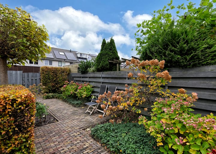 Photo 27 of Klokschildpad 28