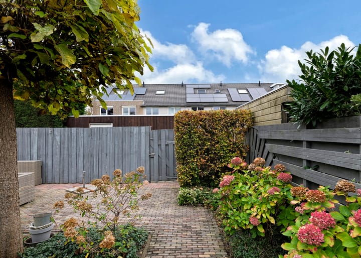 Photo 28 of Klokschildpad 28