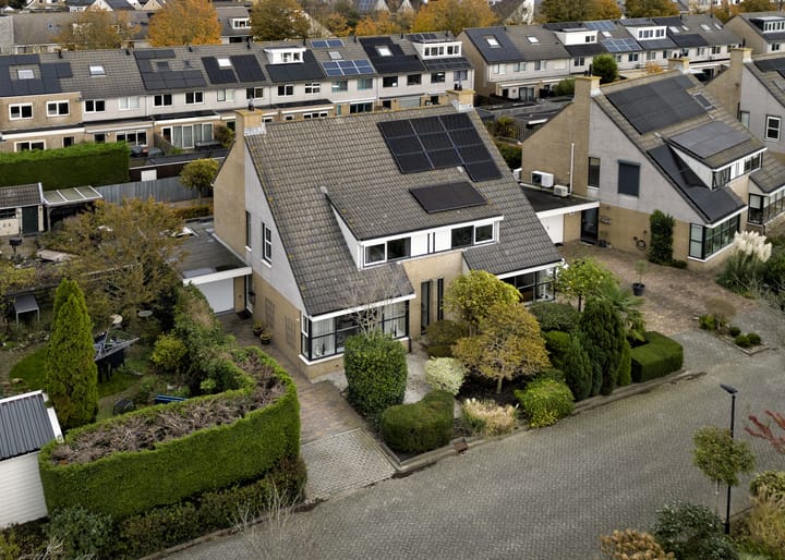 Photo 29 of Klokschildpad 28