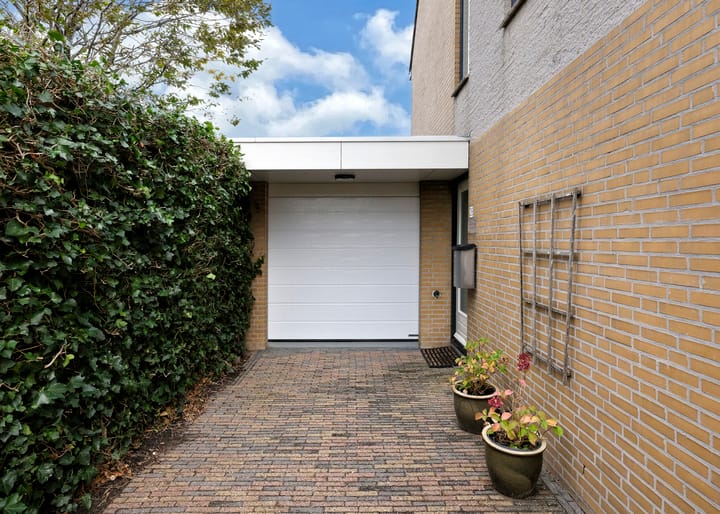 Photo 30 of Klokschildpad 28