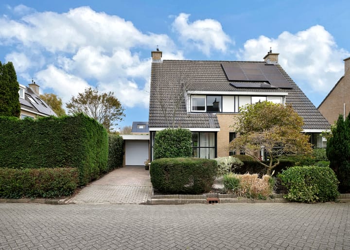 Photo 32 of Klokschildpad 28