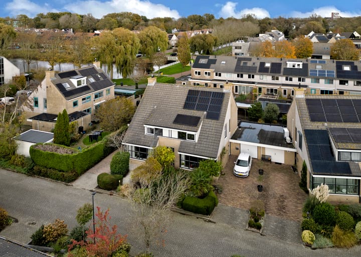 Photo 33 of Klokschildpad 28