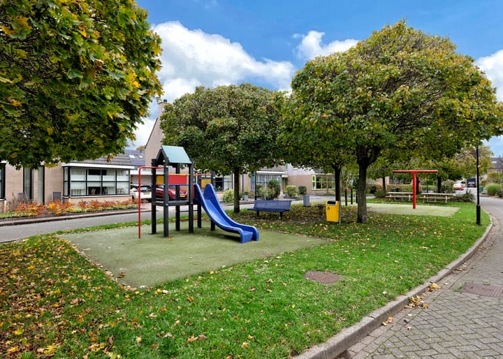 Photo 34 of Klokschildpad 28