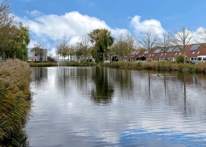 Photo 35 of Klokschildpad 28