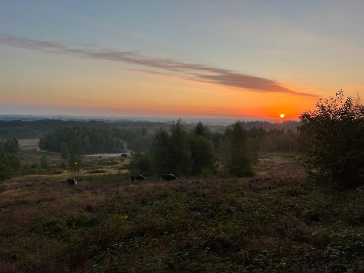 Foto 65 van Bergweg 19-A