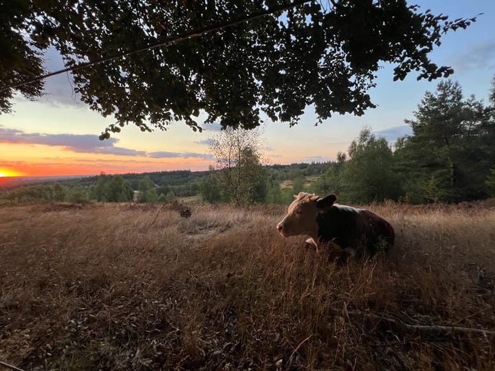 Foto 66 van Bergweg 19-A