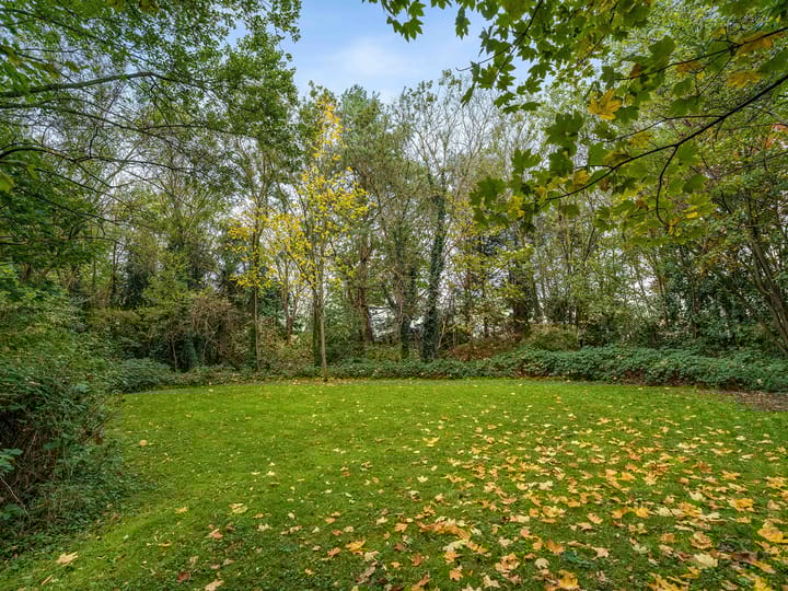 Foto 29 van Beeksestraat 115