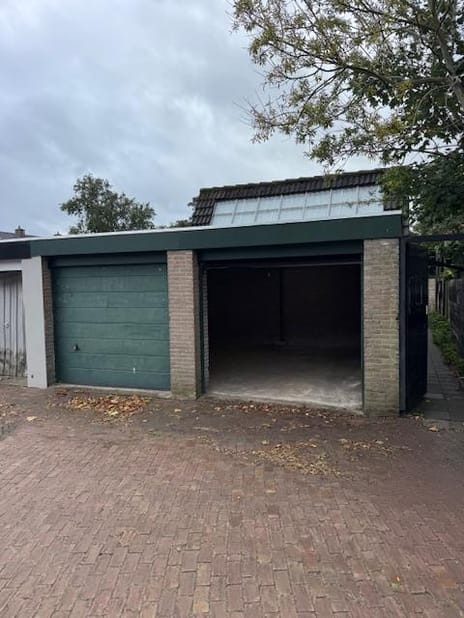 undefined main image