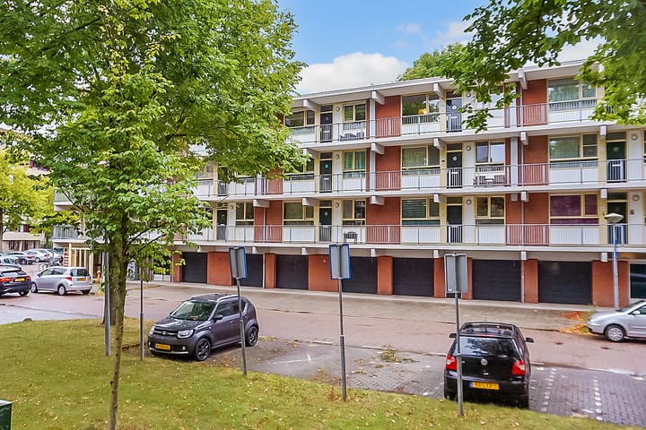 Foto 7 van Amerbos 555