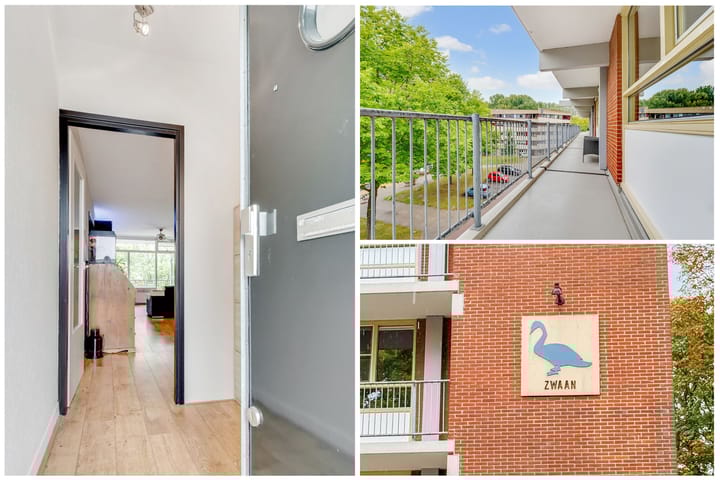 Foto 9 van Amerbos 555