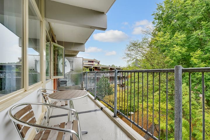 Foto 16 van Amerbos 555