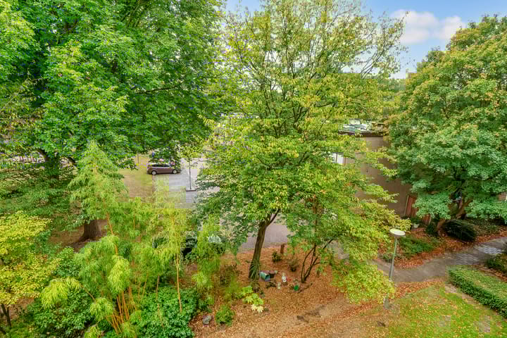 Foto 17 van Amerbos 555