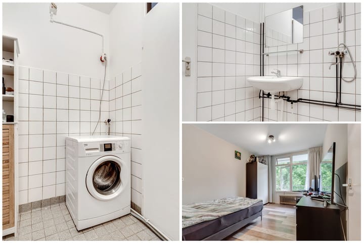 Foto 19 van Amerbos 555