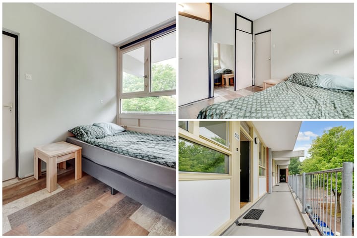 Foto 21 van Amerbos 555