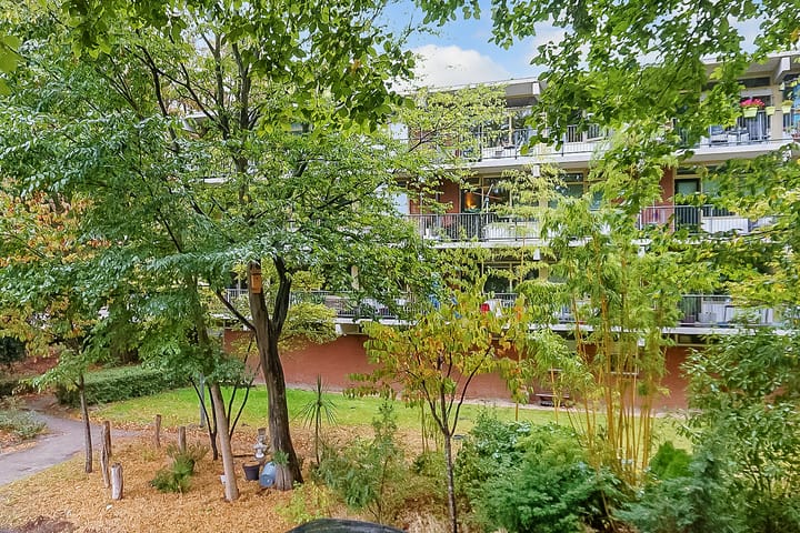 Foto 24 van Amerbos 555