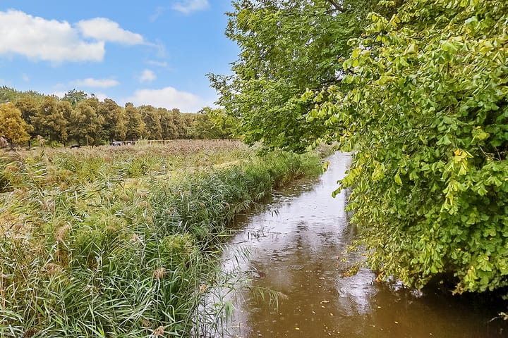 Foto 27 van Amerbos 555