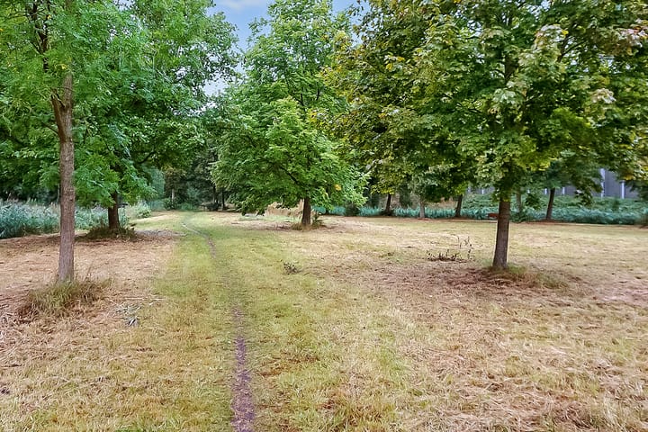 Foto 28 van Amerbos 555