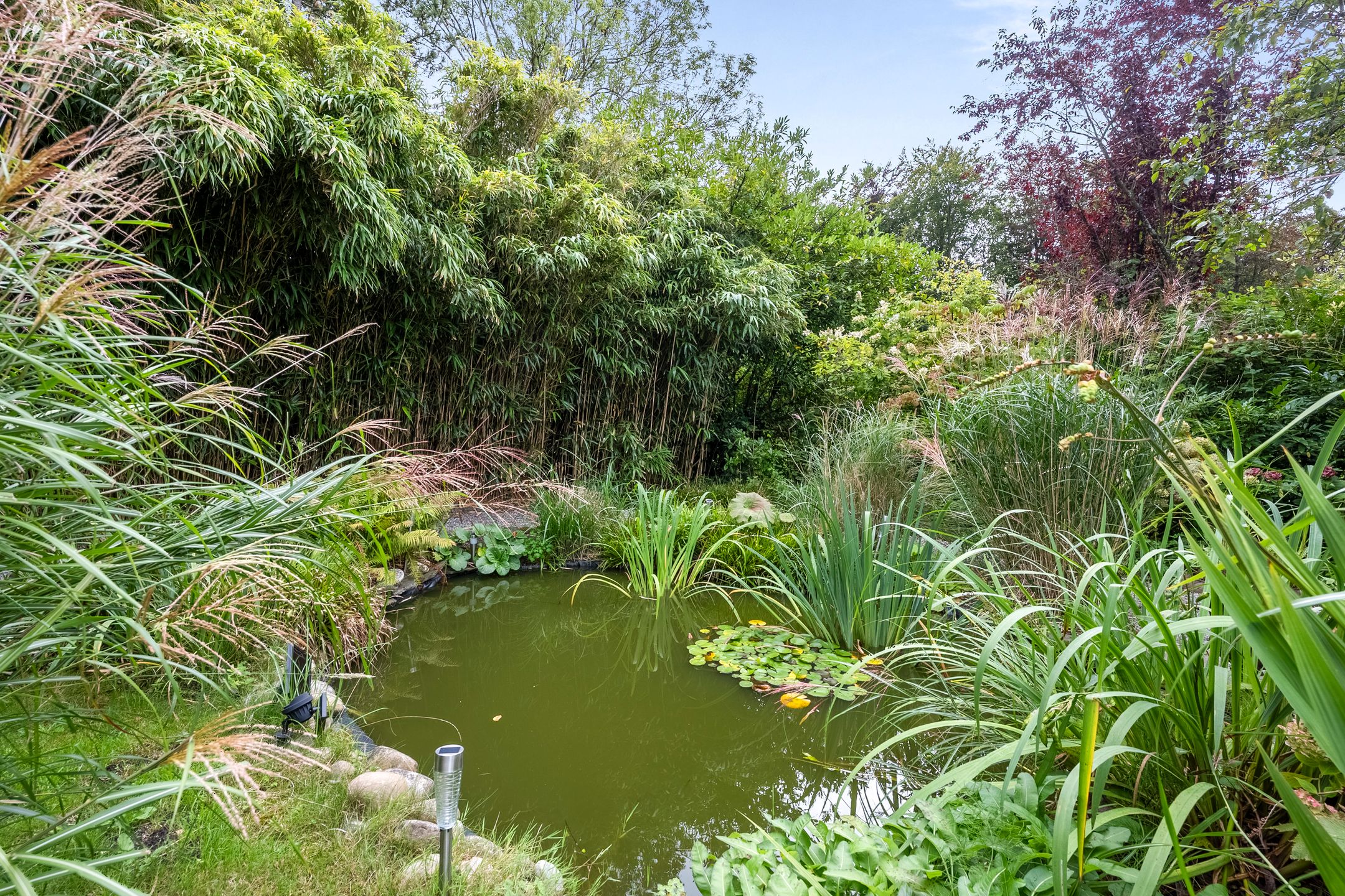 Foto 36 van Manpadslaan 6