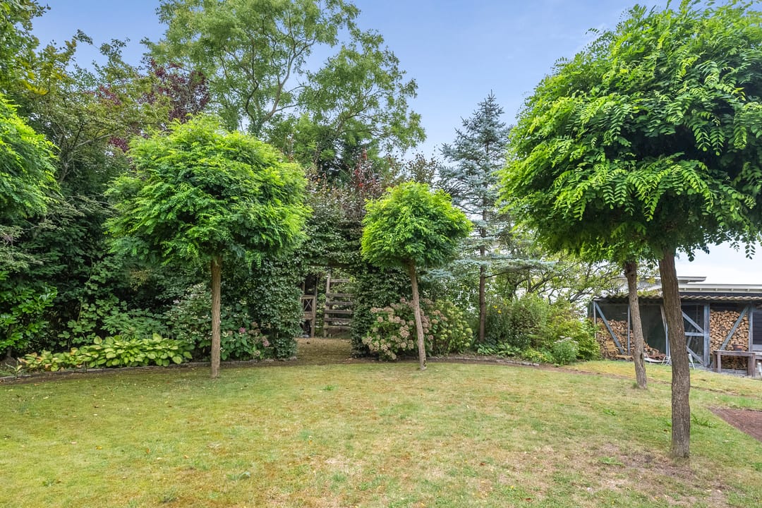 Foto 43 van Manpadslaan 6