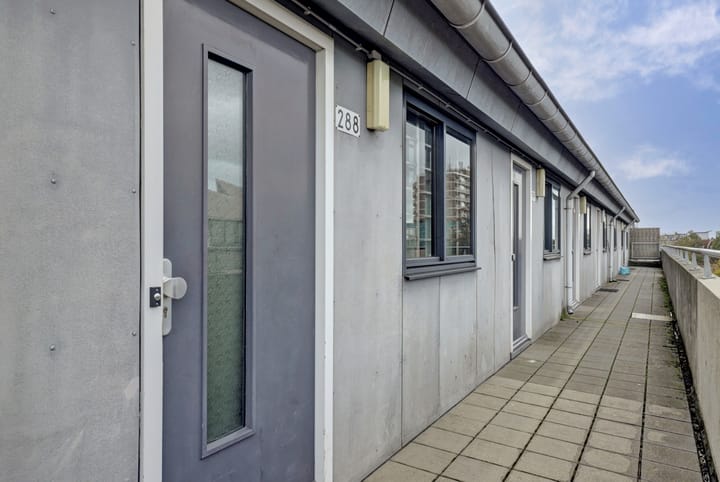 Foto 9 van Hobbemastraat 288