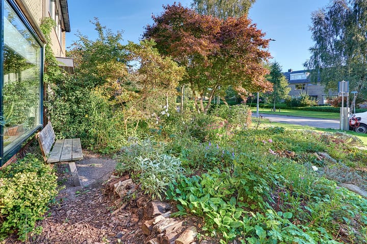 Photo 7 of Steynlaan 120