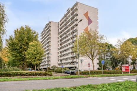 Akkerwinde thumbnail