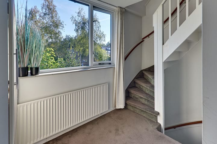 Photo 38 of Steynlaan 120