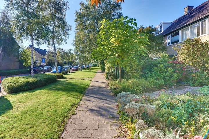 Photo 68 of Steynlaan 120