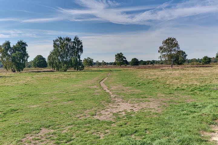 Photo 69 of Steynlaan 120