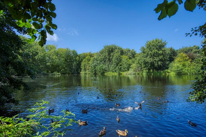 Photo 43 of Hoefbladlaan 49