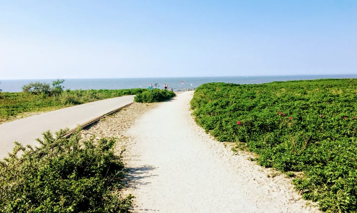 Photo 44 of Hoefbladlaan 49