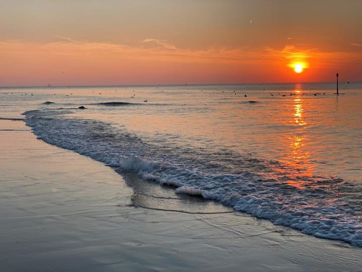 Photo 46 of Hoefbladlaan 49